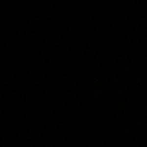 Meet your Posher, Lewayne